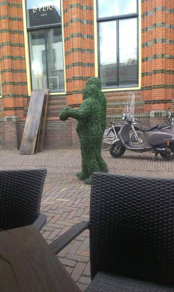Daily Picdump