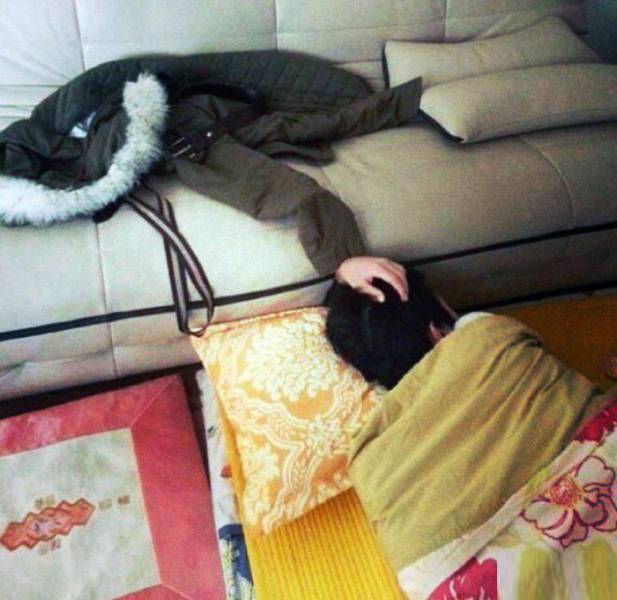Daily Picdump