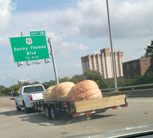 Morning Picdump