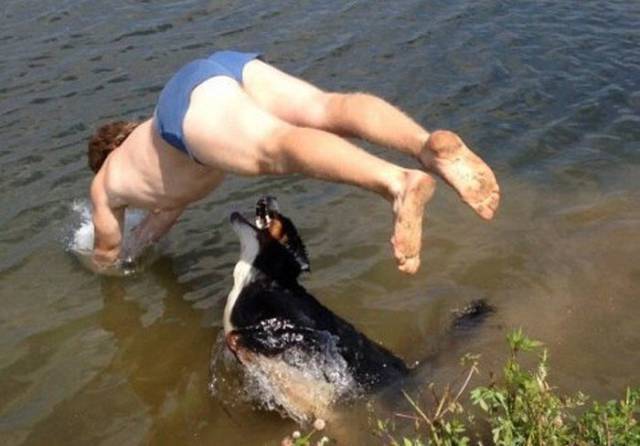 Morning Picdump