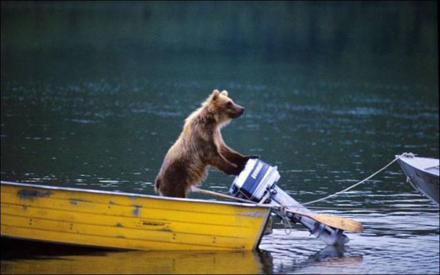 Daily Picdump