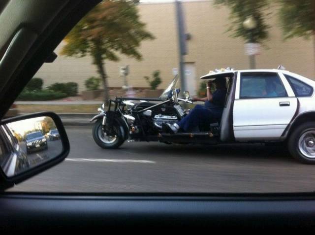 Daily Picdump