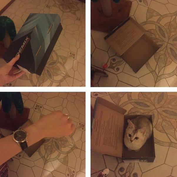 Daily Picdump