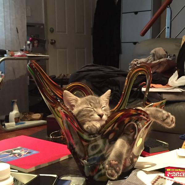 Daily Picdump