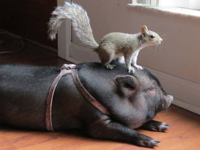 Daily Picdump
