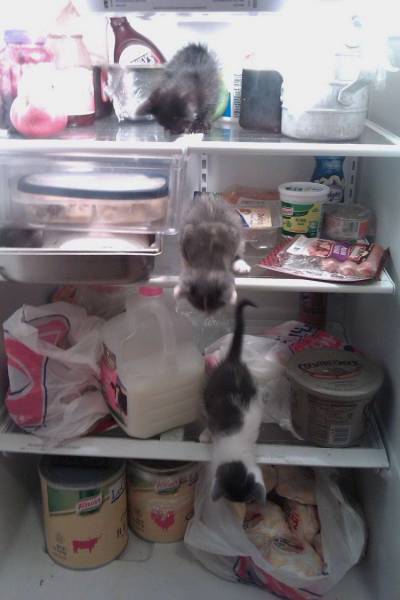 Daily Picdump