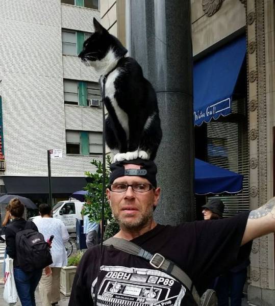 Daily Picdump