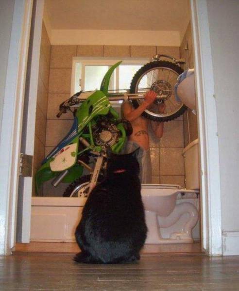 Daily Picdump