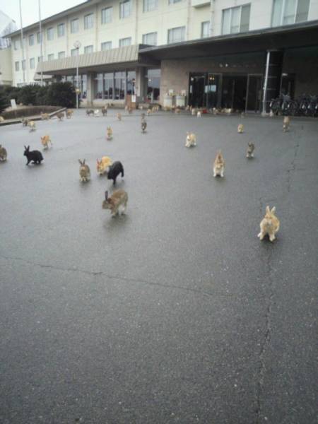 Daily Picdump