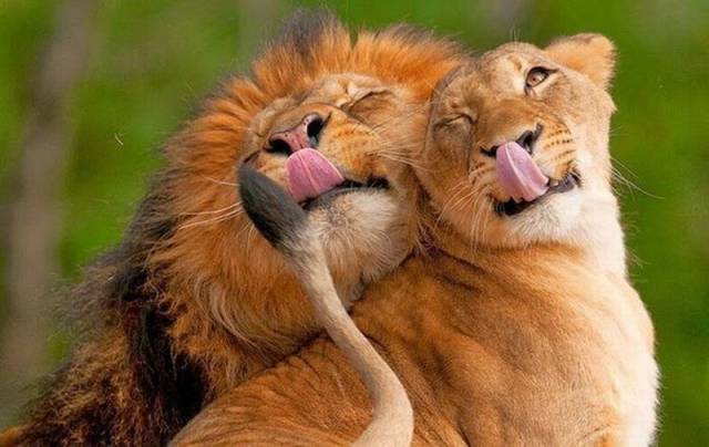 Daily Picdump