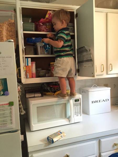 Daily Picdump