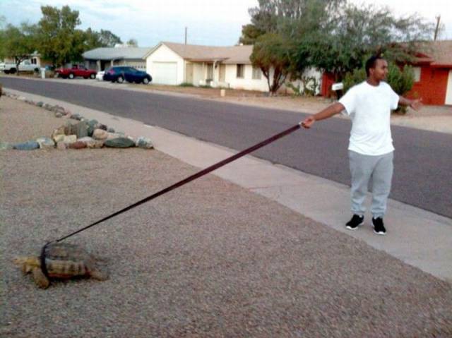 Daily Picdump
