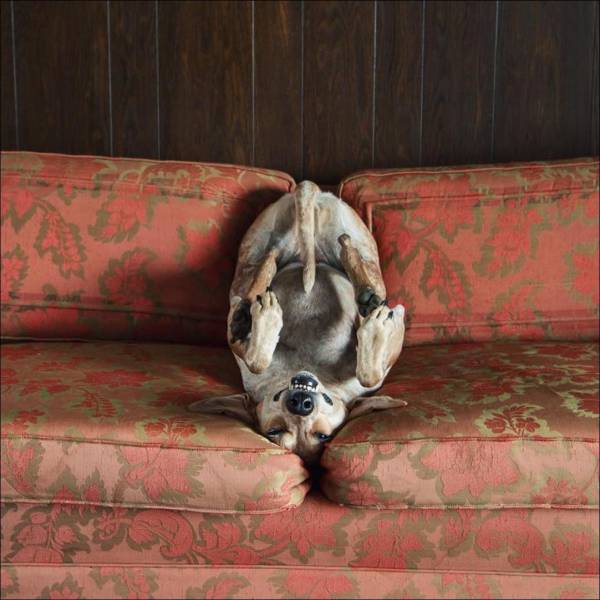Daily Picdump