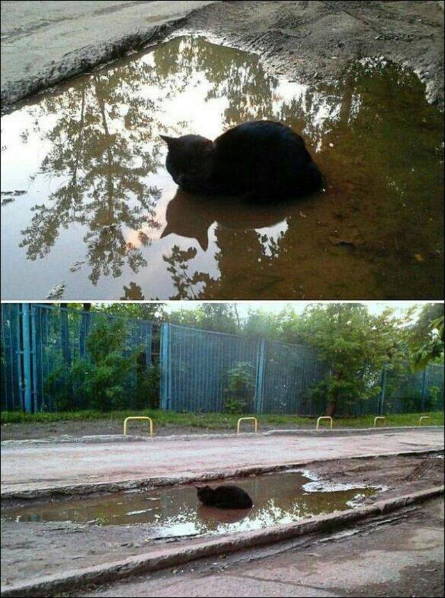 Daily Picdump