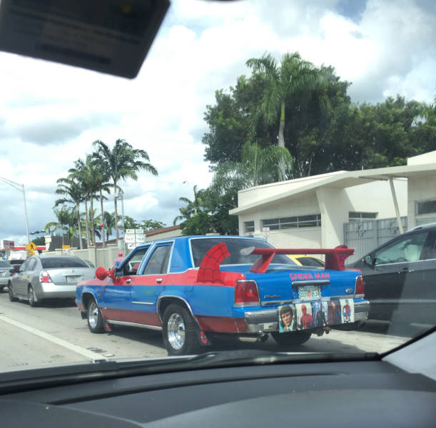 Morning Picdump