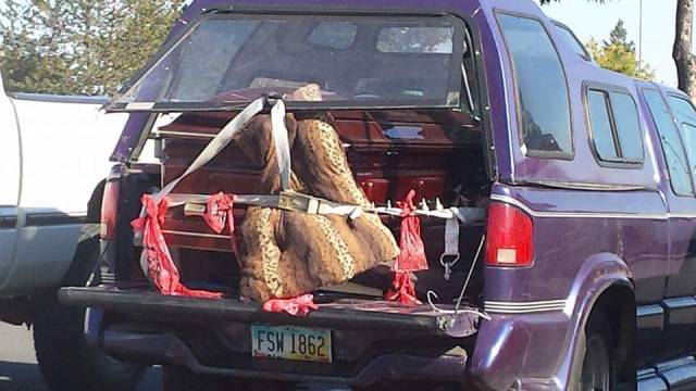 Morning Picdump