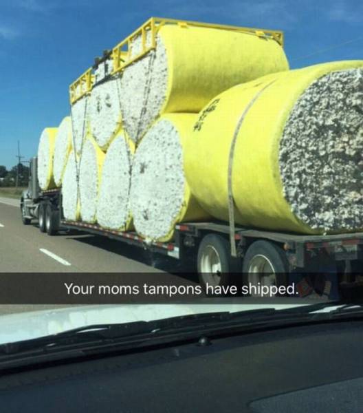Daily Picdump