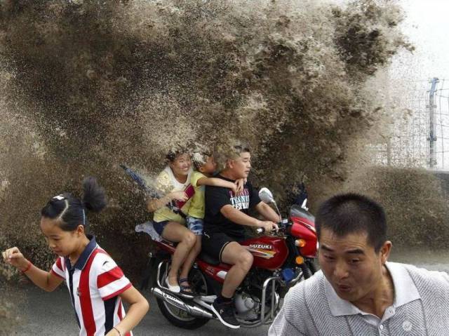 Daily Picdump