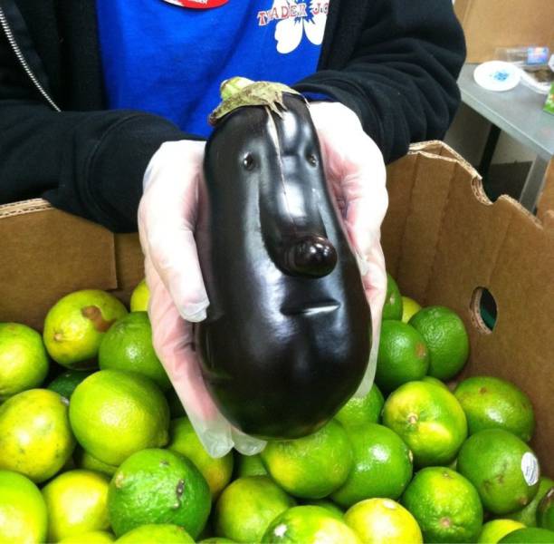 Daily Picdump