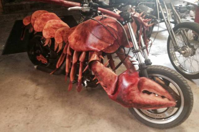 Morning Picdump