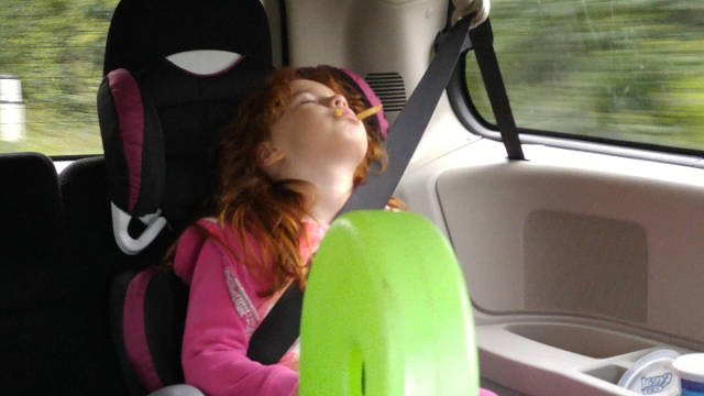 Morning Picdump