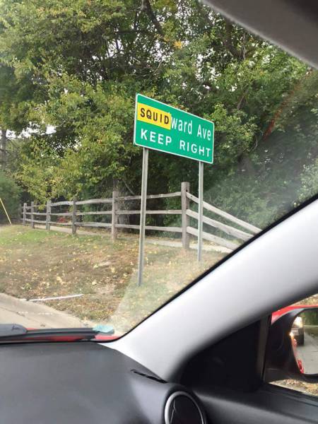 Morning Picdump