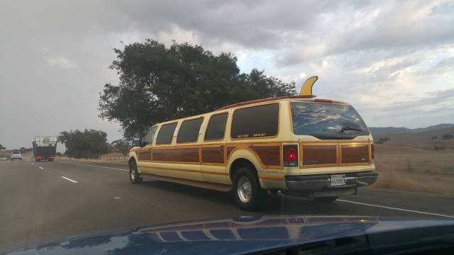 Morning Picdump