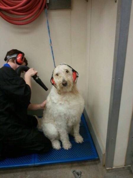 Morning Picdump