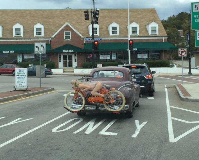 Morning Picdump