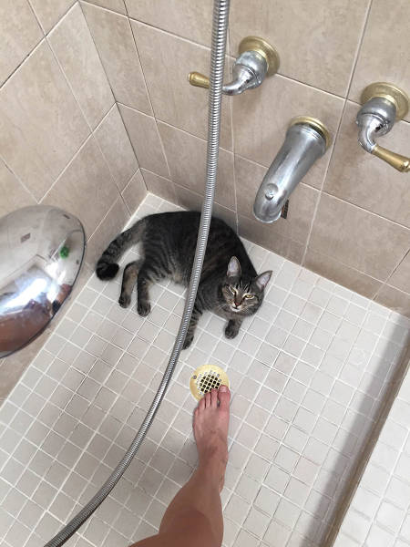 Morning Picdump