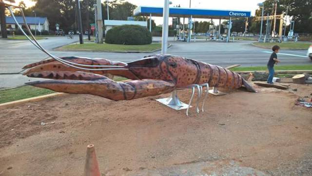 Morning Picdump