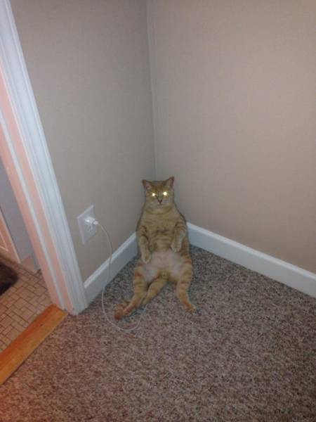 Morning Picdump