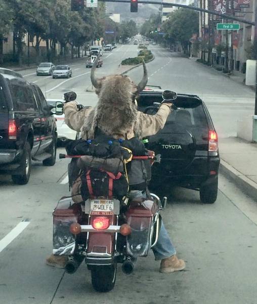 Morning Picdump