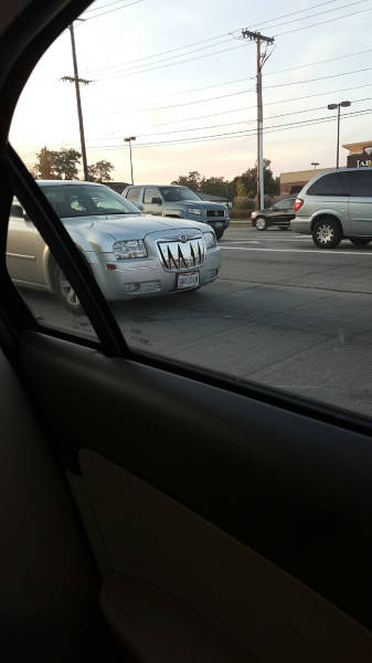 Morning Picdump