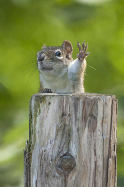Morning Picdump