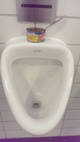 Content Image