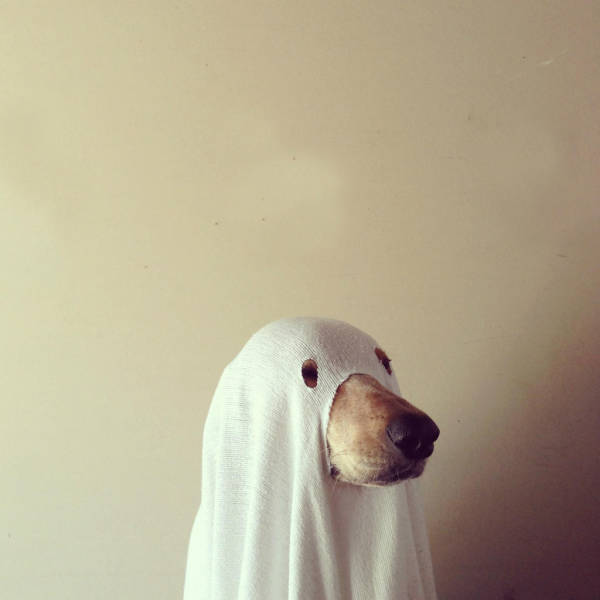 Content Image