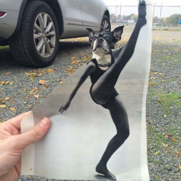 Morning Picdump