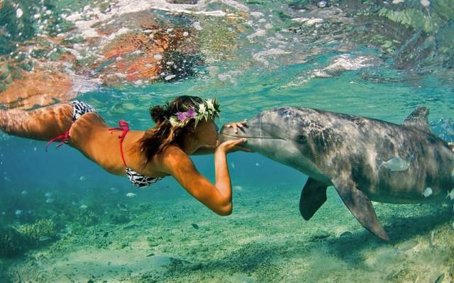 Daily Picdump