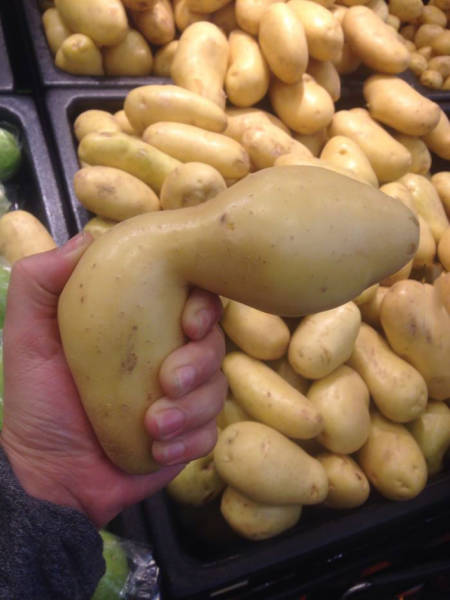 Funny Picdump