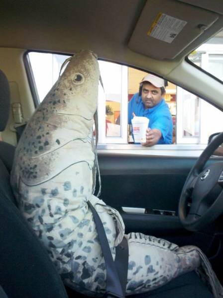 Morning Picdump