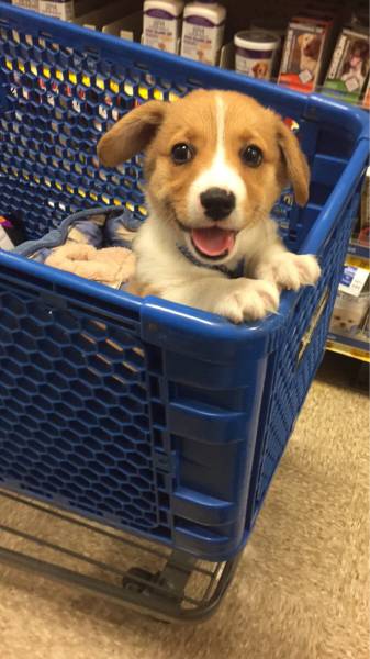 Morning Picdump