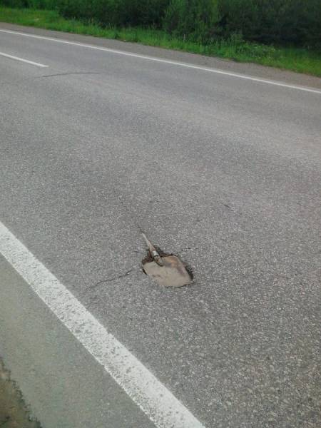Morning Picdump