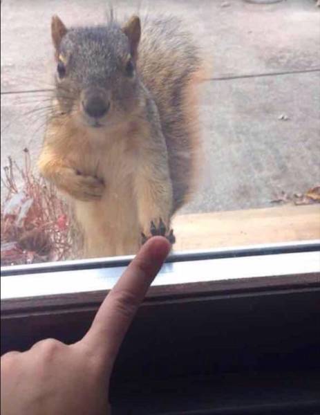 Morning Picdump