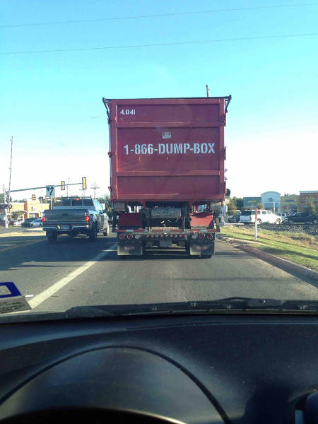 Content Image