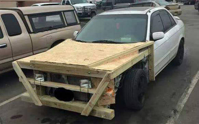 Morning Picdump