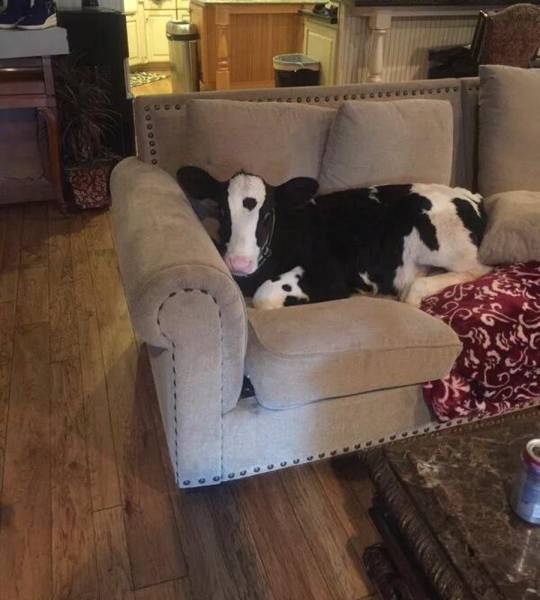 Morning Picdump