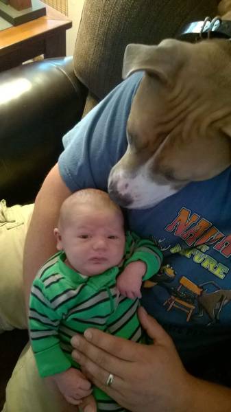 Morning Picdump