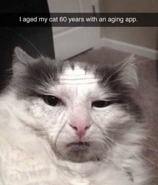 Daily Picdump