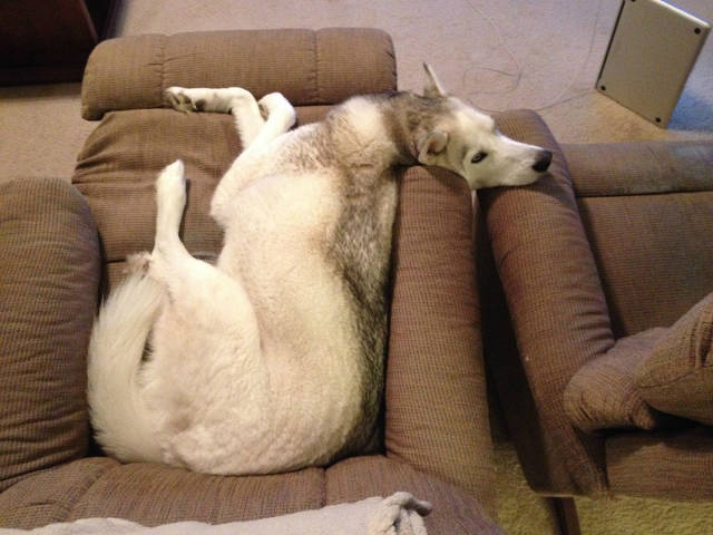 Morning Picdump